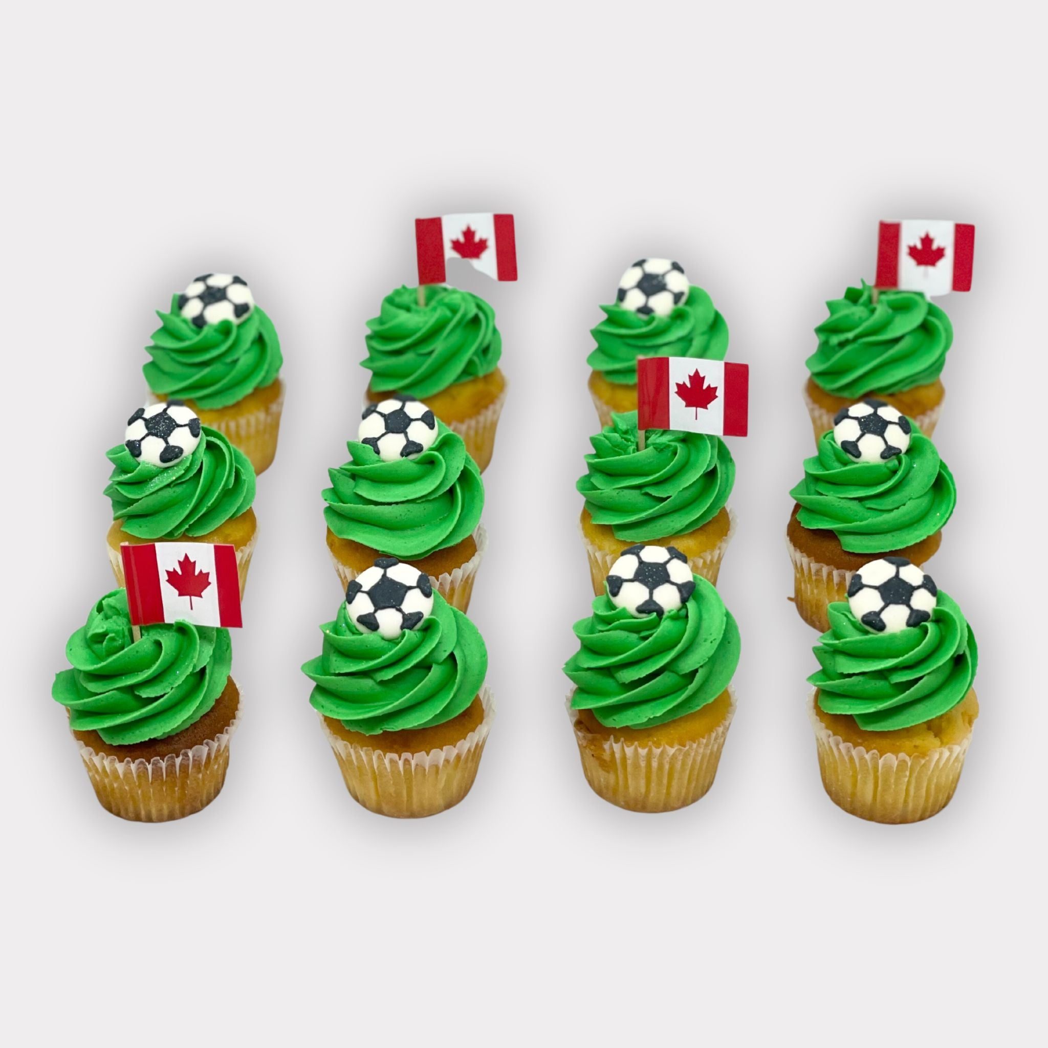 FIFA Women's World Cup Cupcakes