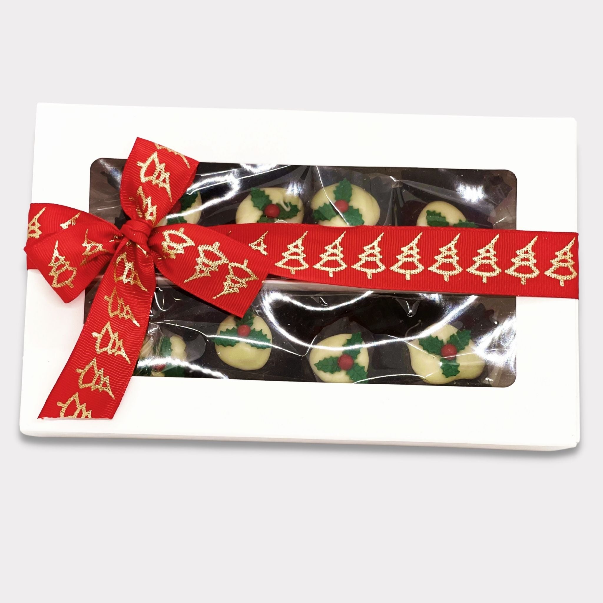 Christmas Chocolate Fruit Pudding (Large)