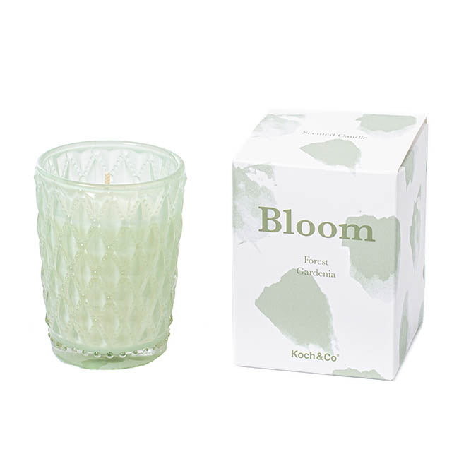 Scented Candle Bloom Cameo Green Forest Gardenia